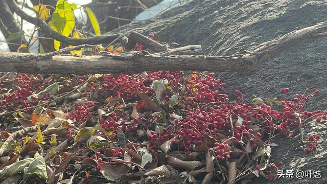曲阜石门山：被三孔光芒遮蔽的齐鲁秘境
