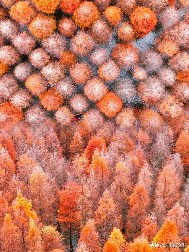 初冬氛围感出片计划，走起！昆明这份打卡攻略速速收藏→