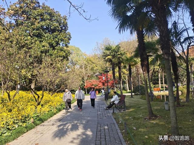 2025 杭州西湖 City Walk 留下足迹