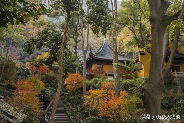 灵隐寺被骂上热搜，知情人爆料：一群和尚围着长条桌，上面堆满钱