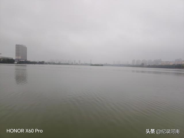 七上八下全国文明城市柘城县迎来汛期，晨练国家湿地公园榕湖发现