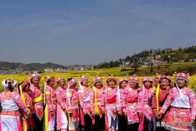 带着孙女去旅行（168）罗平油菜花海游