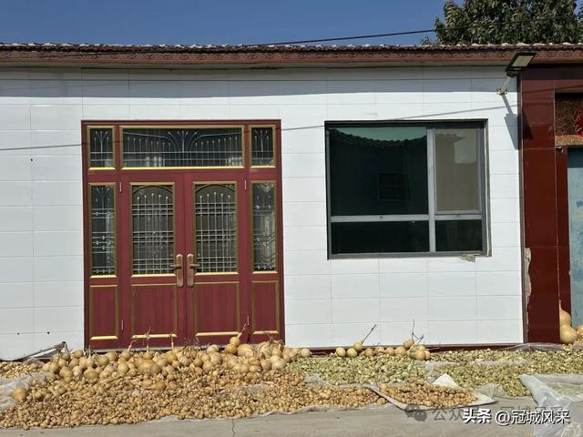 冠县乡韵·兰沃乡大柳邵村