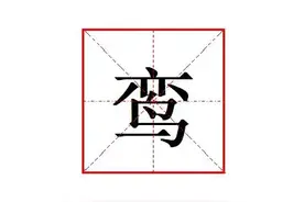 "鸾"怎么读?什么意思?鸾和凤有什么区别?鸾凤是什么意思?图片