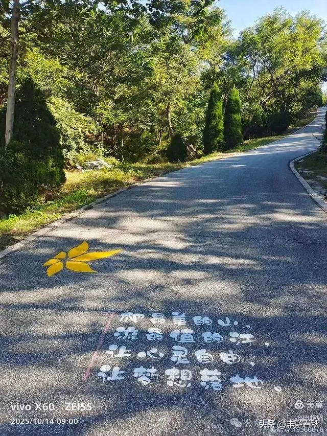 浮山漫记：藏在青岛城央的自然诗篇｜申艳娟