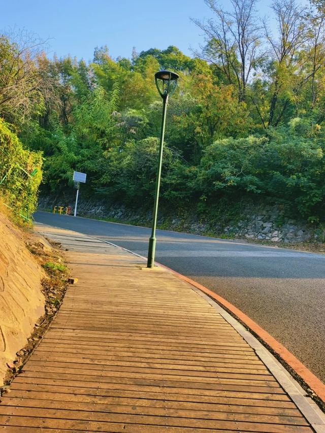 逛起来！8小时10个公园！