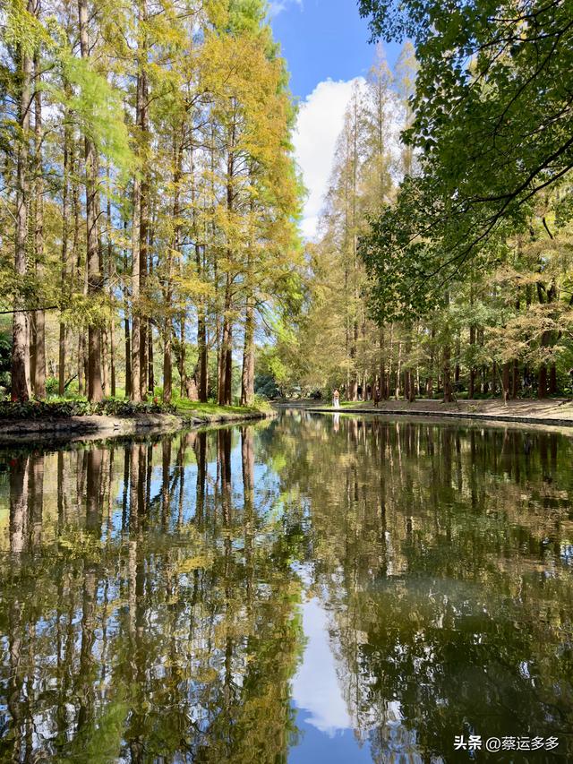重阳节，上海赏秋之美