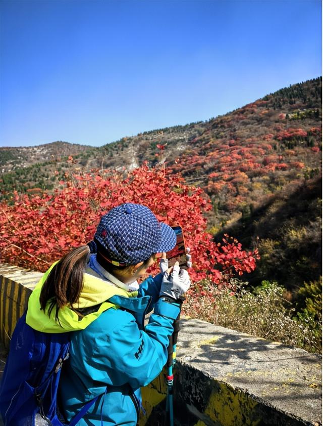 驴行信记：浪漫“赵家岭”