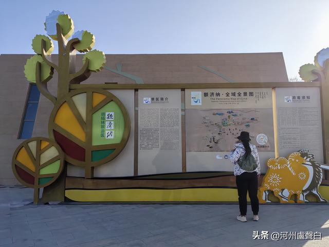 额济纳旗胡杨林