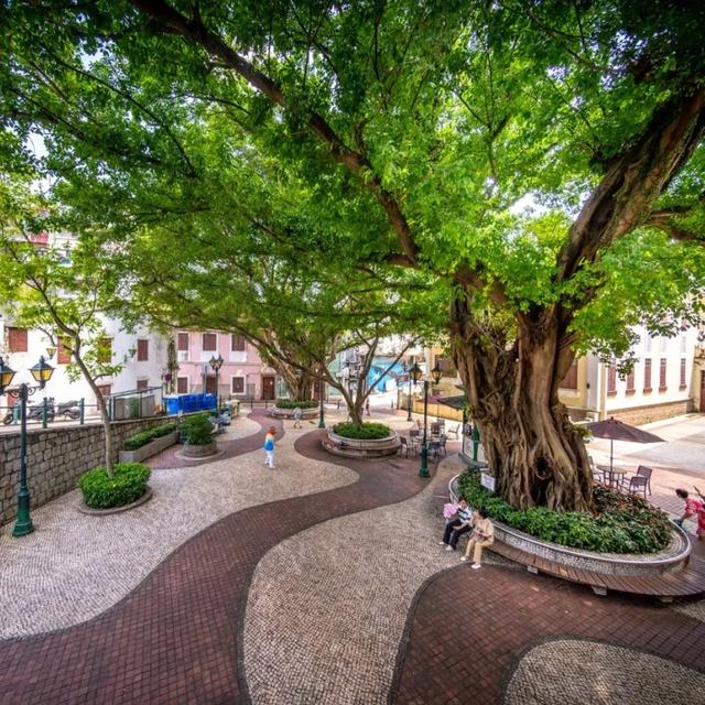 【澳门名片】中国现存最古老的中西历史城区