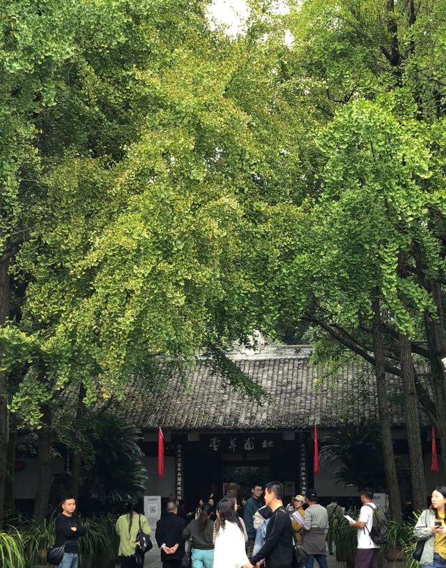 我是陕西人，刚陪成都朋友逛完渝蓉，这几处差异和感受想说说。