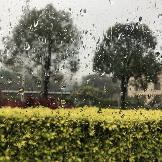 横州市今晚到明天将有阵雨转中雨