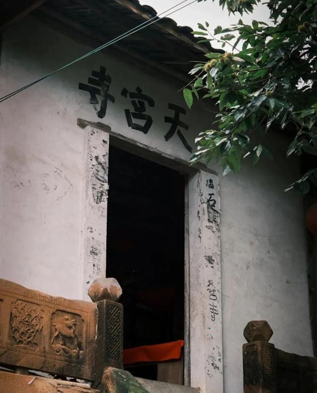 周末就冲！亲测3条被严重低估的徒步线，林海吸氧峡谷石窟！全部免费最快40min飙拢！