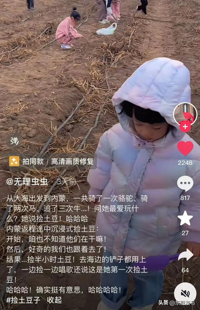 内蒙古土豆，“捡”的咋比买的还香？