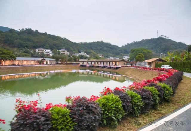 定了! 徒步云上南清,见证深山村落的文旅蝶变之路