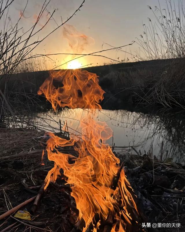 零下15度！河南四九天迎来寒冷暴击，真的要“猫冬”了？