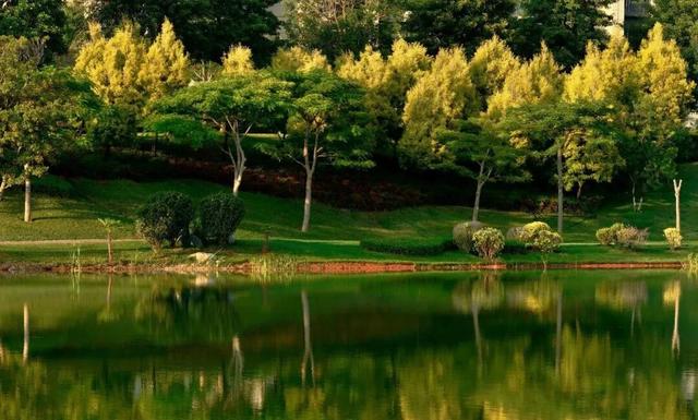 一座四季皆暖的旅居之城——冬季相逢在建水