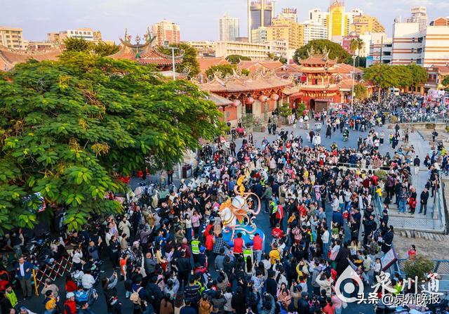 一马当先！快来泉州追“马”掀热潮