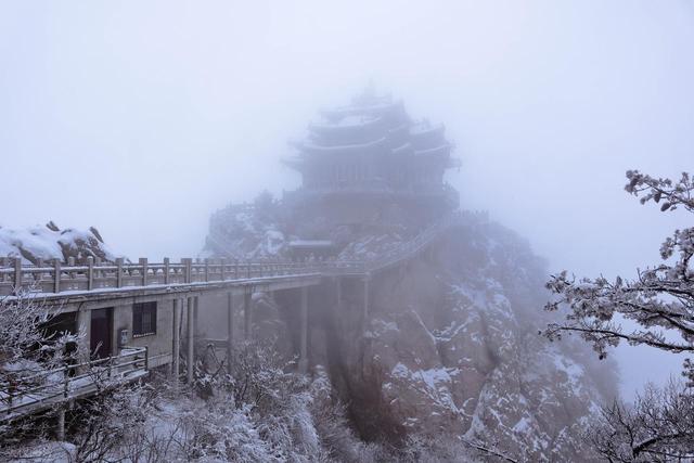 刚从老君山回来，真心建议：别随便去老君山	，除非你做好这些准备