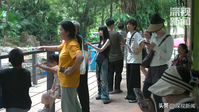 深圳“双节”假期有多火爆？数据说话