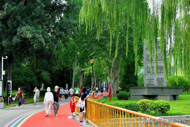 立秋之约：达活泉公园的诗意画卷（图）