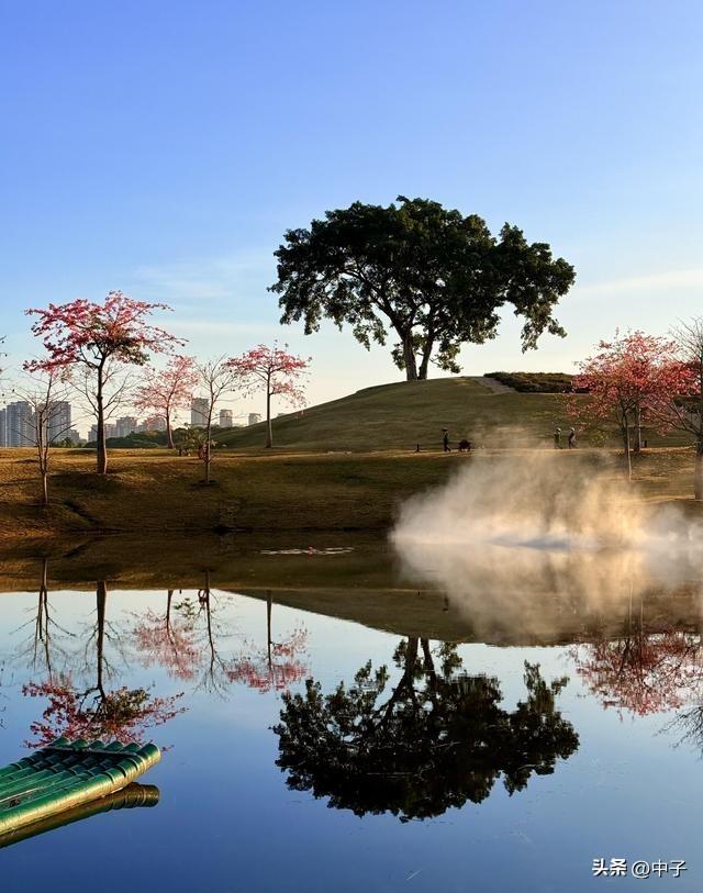 北京愣了！南宁这碗粉比啥都治愈。