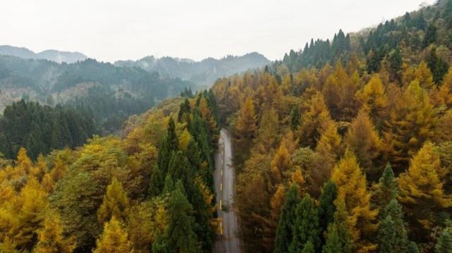 被秋景硬控的恩施还会火多久？