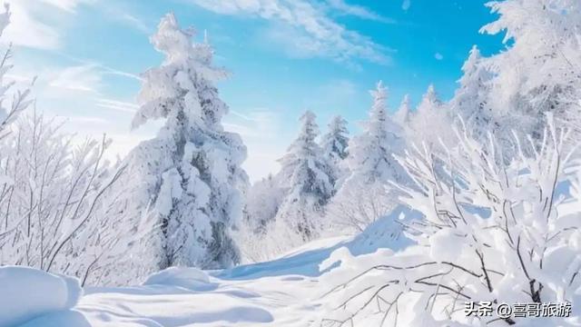 梦幻雪域，童话王国——探秘黑龙江雪乡国家森林公园
