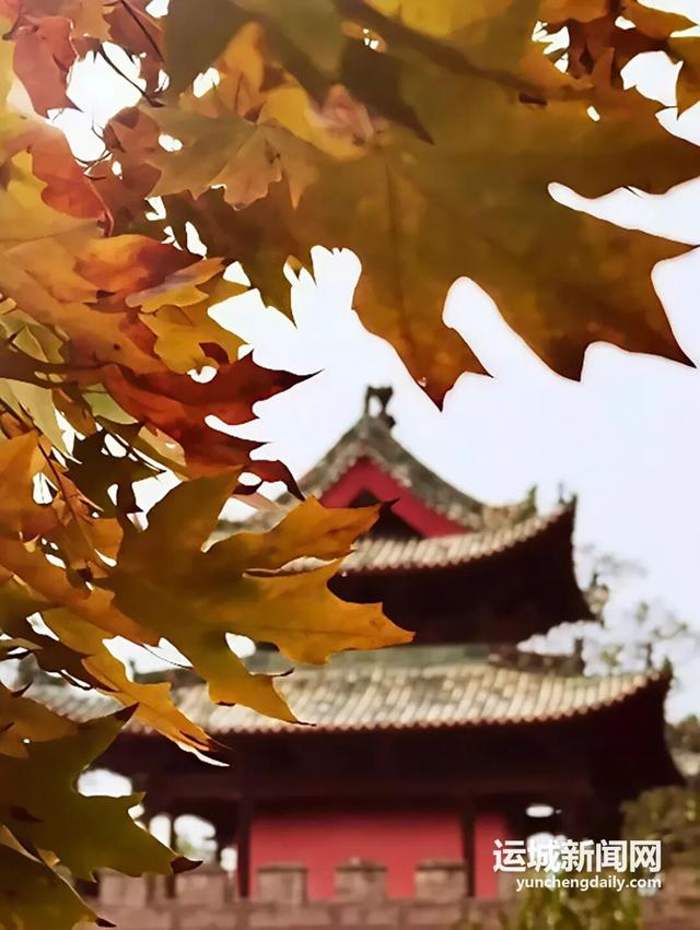 运城秋日的N种浪漫