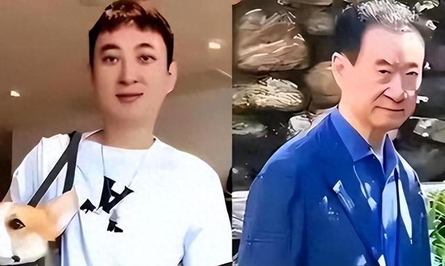 陪睡陪玩只是冰山一角！万达蒸发800亿后	，王思聪再次传出大丑闻