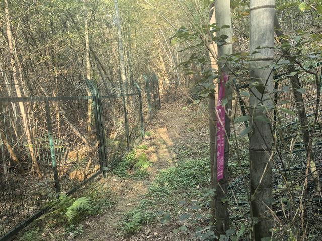 南京龙尚湖，大连山，佘村一日郊野徒步