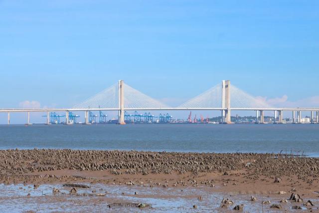 赶海、寻趣！来丰泽打卡这一抹海天蓝！