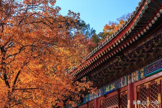 Deepseek和百度AI共同推荐北京红叶区：到北京旅游至少要去三个。