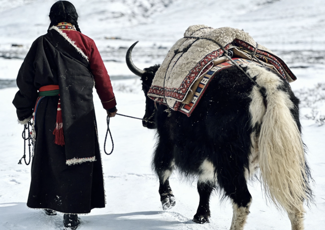 海拔5070米！中部边境这个村子，人均寿命不足50岁，却没人愿搬走
