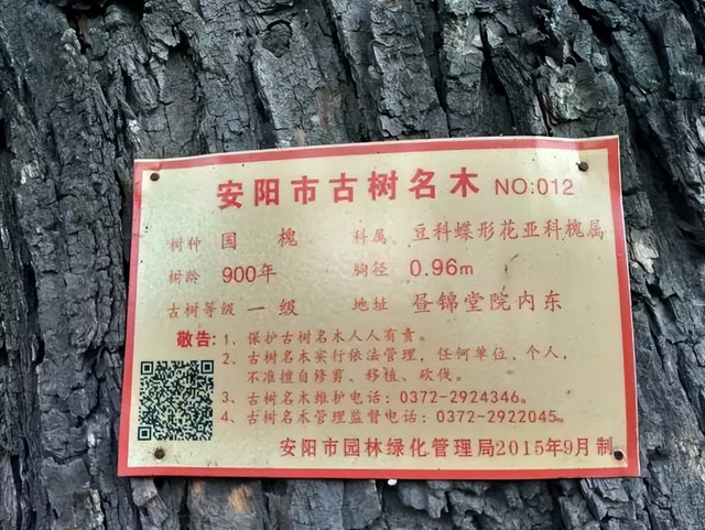 漫步安阳古都，聆听历史与时光的低语