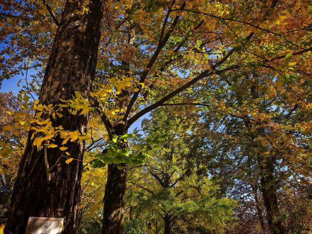 徒步八都岕黄金大道