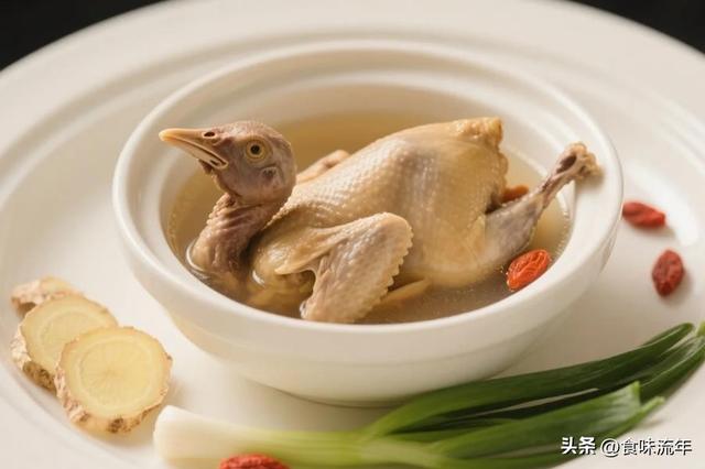 慢炖3小时清炖鸽子汤！汤鲜到舔勺，肉嫩不柴暖透胃