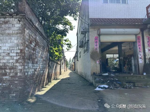 冠县乡韵·兰沃乡大柳邵村