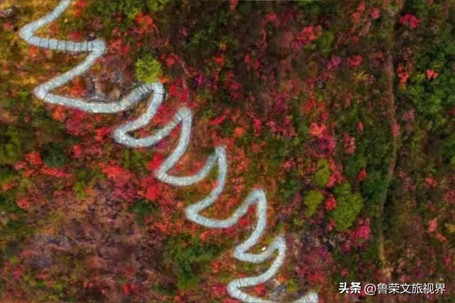 徒步三峡：霜叶漫山处，一步一千年