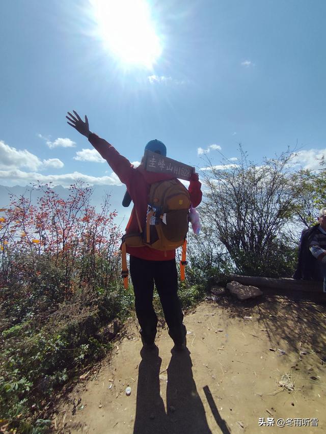 又见山山红叶飞