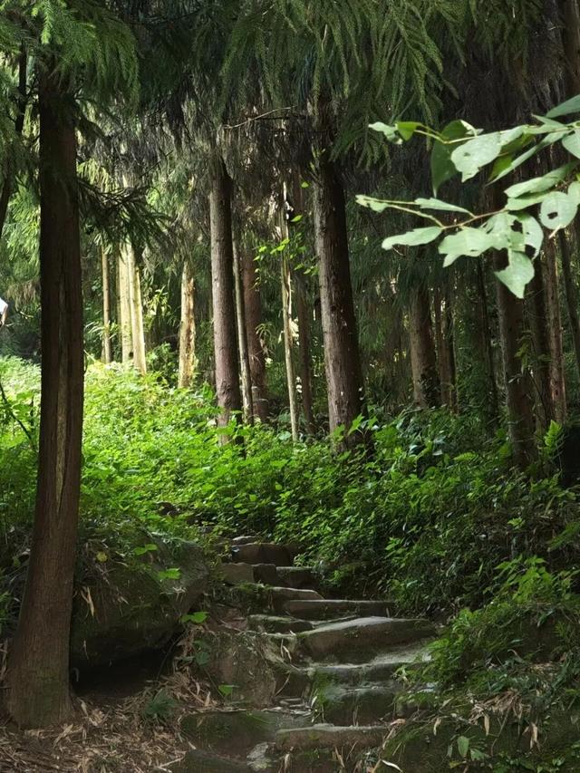 挑战20公里山野穿越！这条天台山徒步线，才是户外玩家的宝藏路线