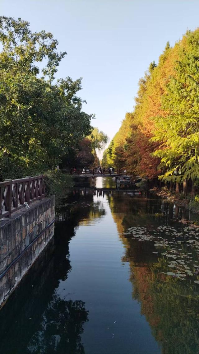 冰城飘雪，姑苏枫红，填满我的冬日时光～