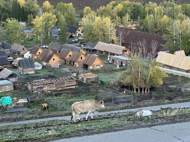 五彩斑斓喀纳斯