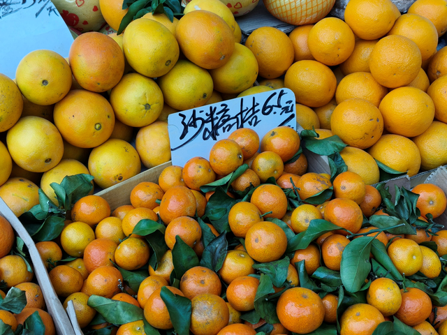 两千元也用上了真两亿像素！Reno 15这次够狠的