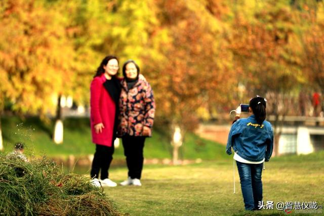 仪陇德园「初冬调色盘」已上线！限定美景正当时，快带家人朋友打卡！