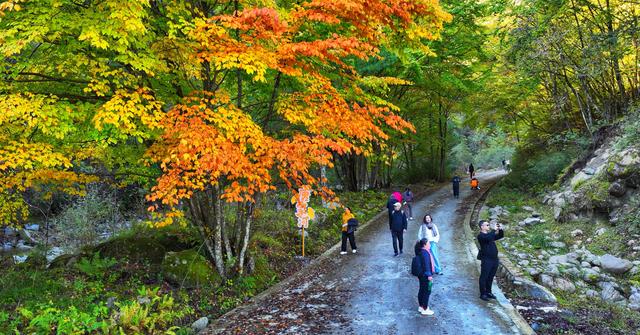 看满山红叶来这里，离广元2仅小时，3条线路任你玩，人少景美！