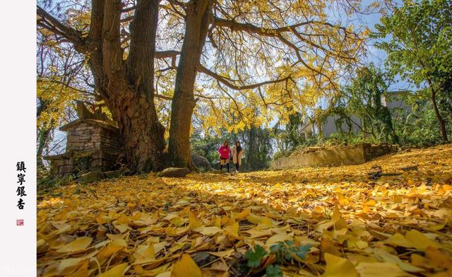 世界上只有中国泸州才有的全球独一无二的10大奇景！