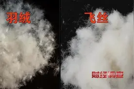 羽绒服造假被曝光，业内人士教你这5招买到真羽绒图片