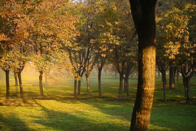 西安城区4个绝美秋景打卡地！