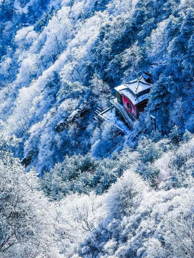 快看！从哈尔滨的冰雕里，挖出了整个真·泰安！